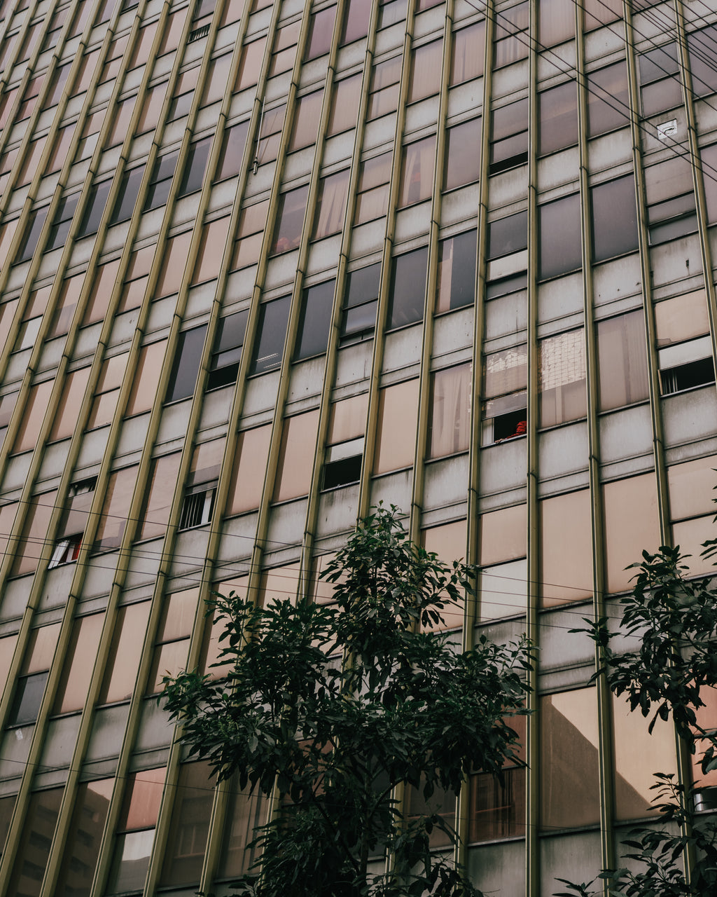Sepia Office: CDMX, Mexico