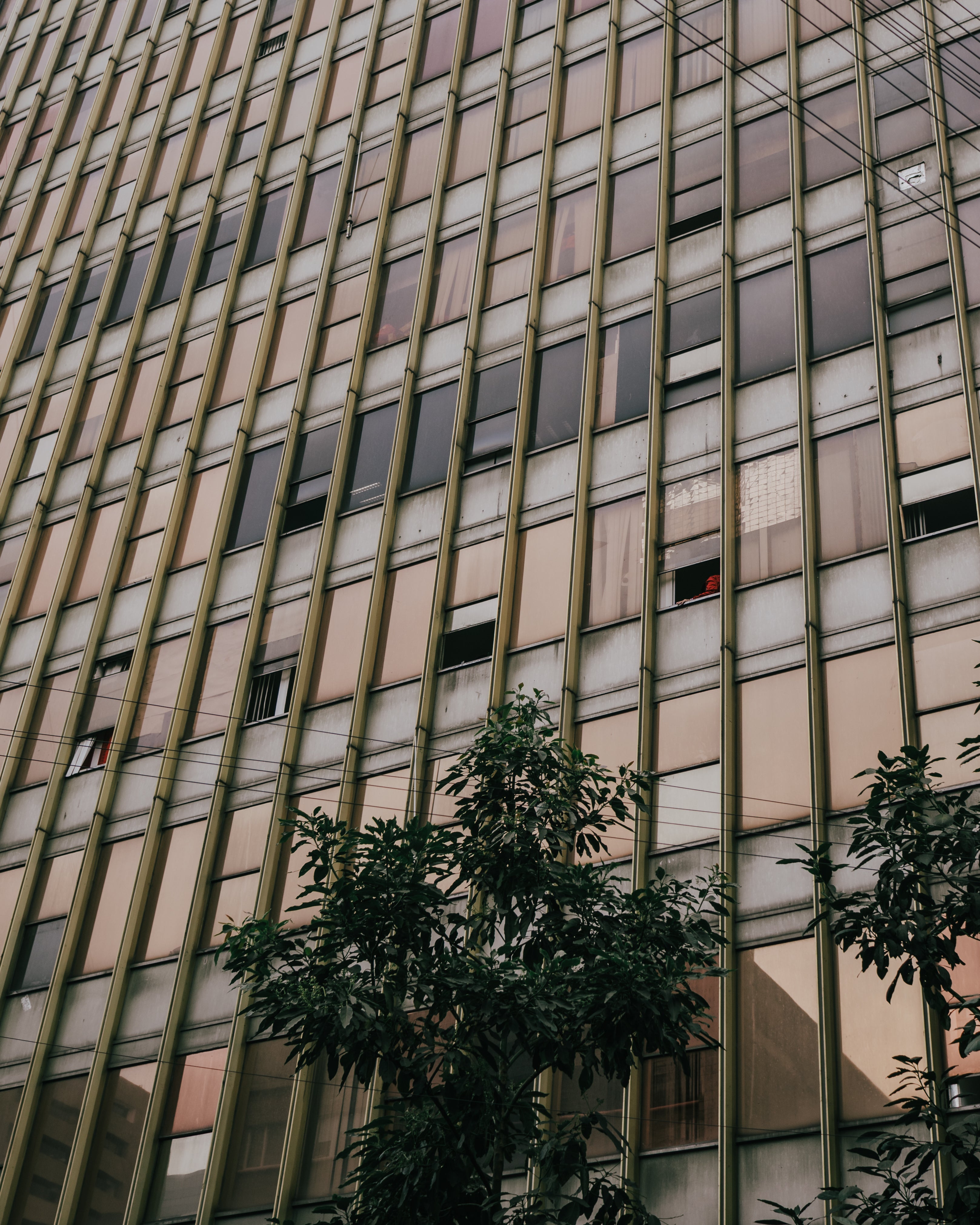 Sepia Office: CDMX, Mexico