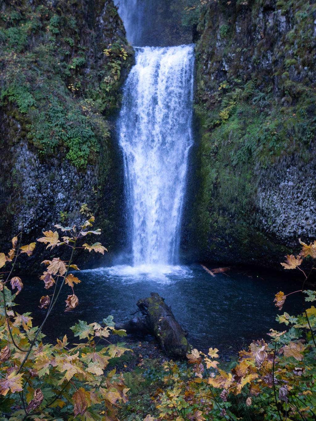 Alternate Multnomah Falls: Oregon, USA